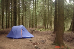 My tent in the woods