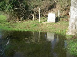 Spring pond at the source of th Rivere Thames