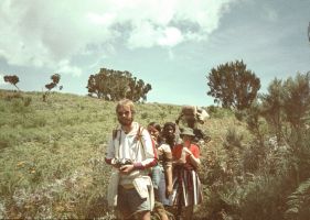 The last trees at around 3000m