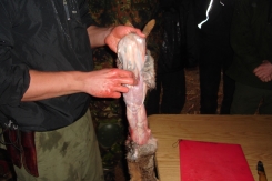 Preparing rabbit stew