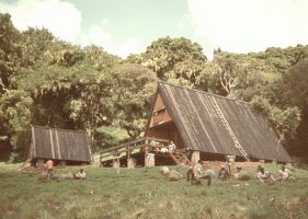 The first hut (Mandara) at 2600m