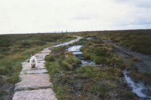 Pennine Way - Somewhere pretty bleak and very boggy
