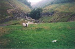 Top of Whitsun Dale