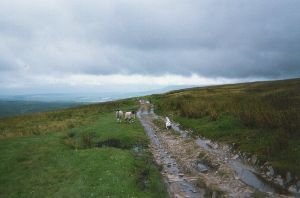 Pennine Way - Crossfell