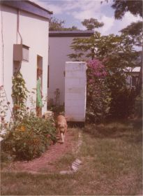 The backdoor