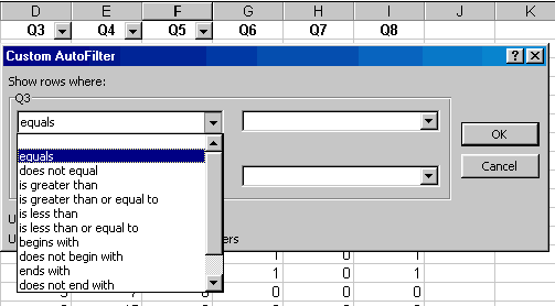 Using the filter in Excell