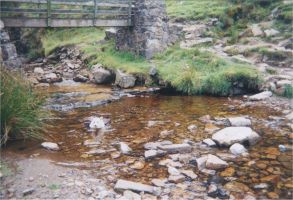 A babbling brook