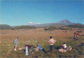 A moorland rest stop