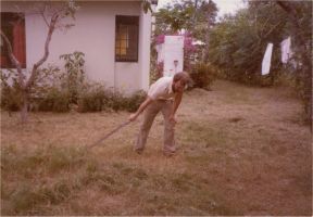 Mowing the lawn
