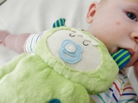 Cuddly demo