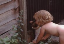 Lee Penny Cat